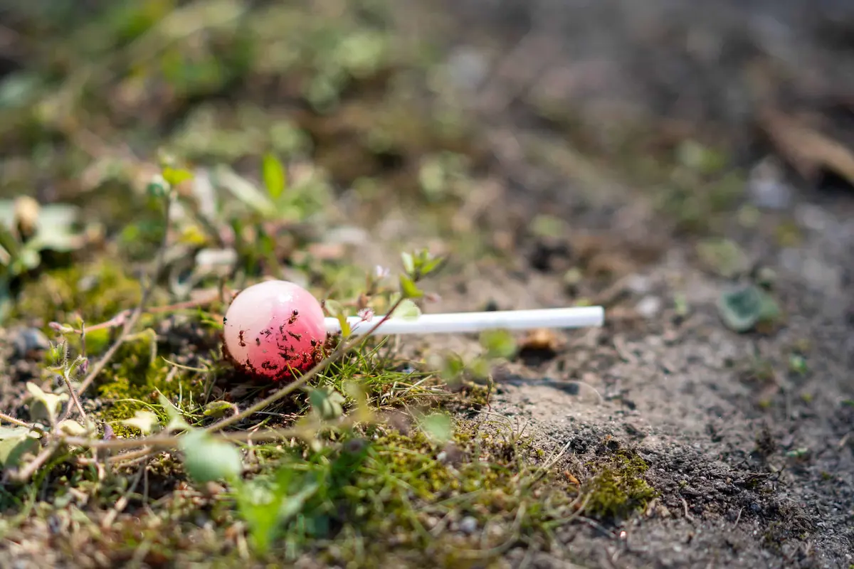 Red lollipop discarded on the ground, a potential food source that can attract ants and other pests