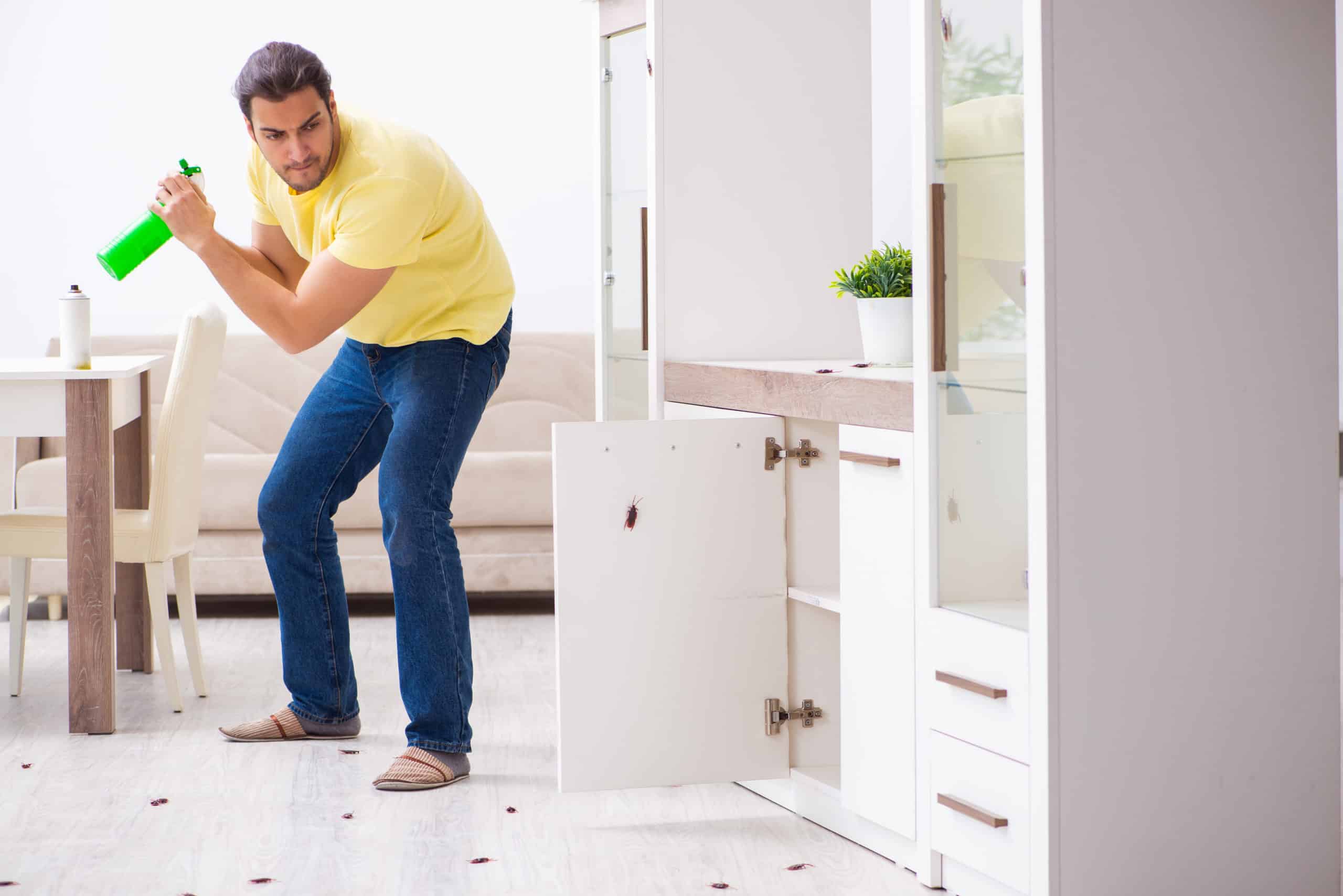 shutterstock 1694014183 scaled Water Bugs vs. Cockroaches – What’s the Difference?