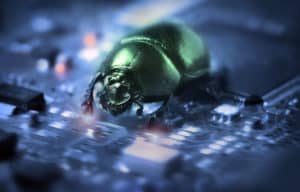 shutterstock 4027501 Bug,On,A,Computer,Chip