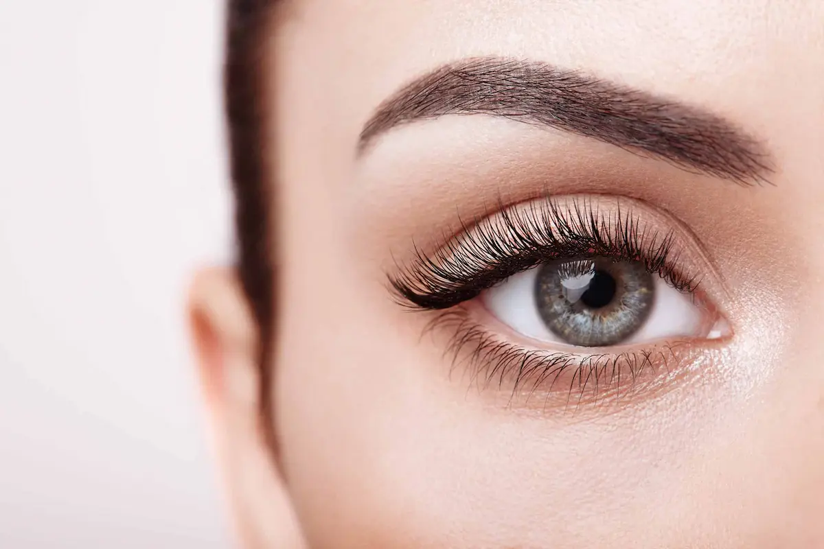 Close-up of human eye with detailed eyelashes and eyebrow