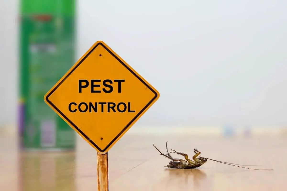 Pest control warning sign and dead cockroach