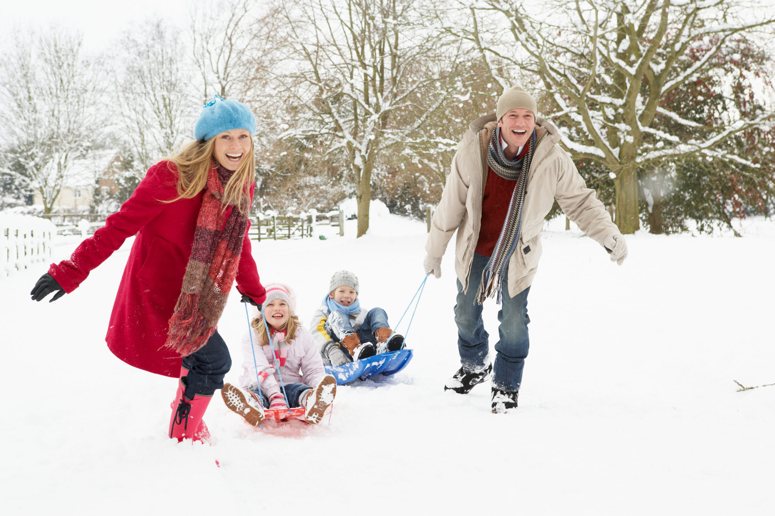 shutterstock 46989883 scaled Where Do Mosquitos Go in the Winter?