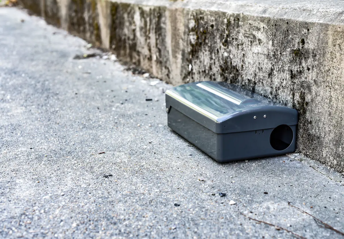 Rodent bait station placed beside an outdoor concrete wall