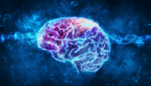 shutterstock 1031892406 3d,Rendering,Of,A,Brain