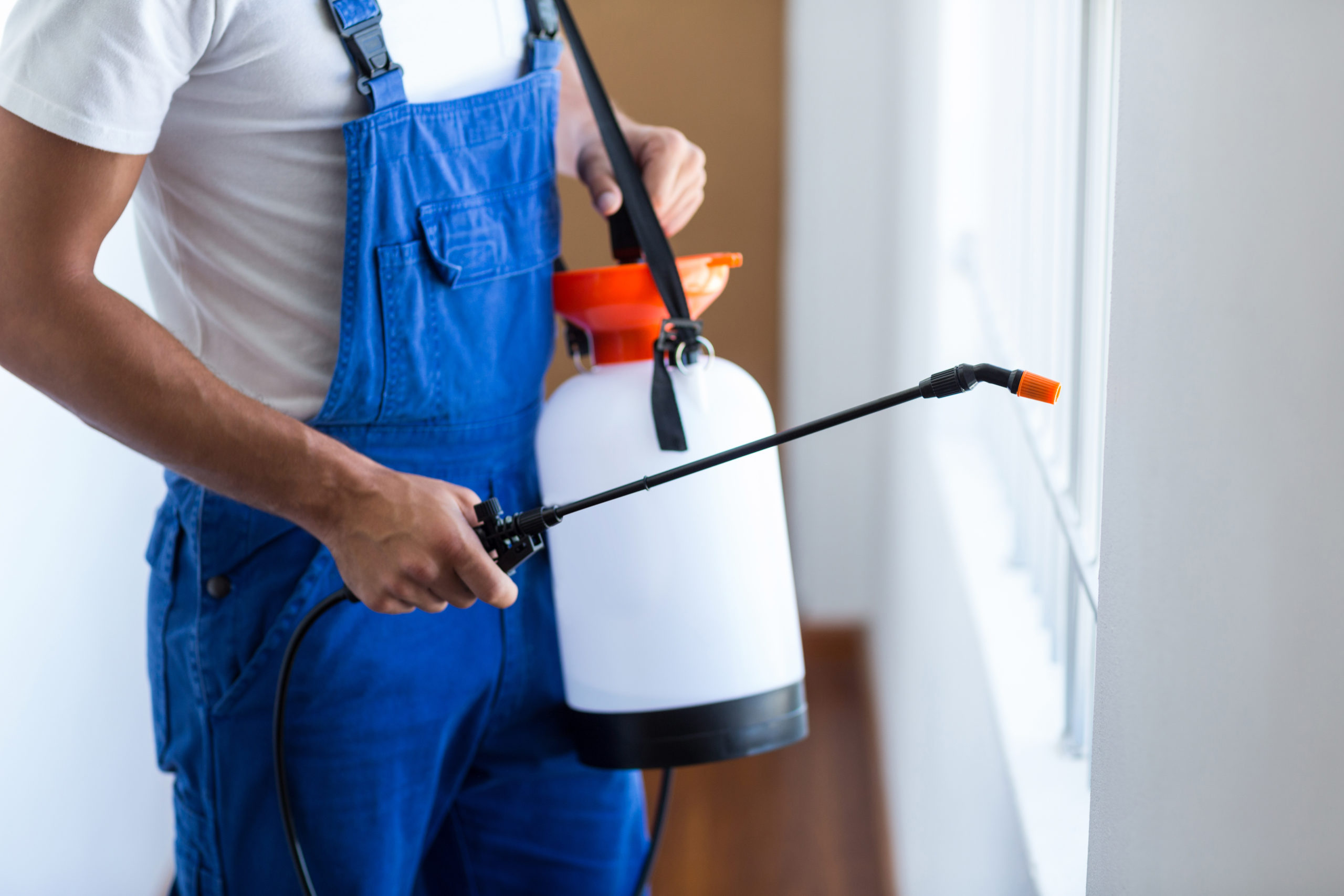 shutterstock 417843328 scaled Common Pest Control Vocabulary