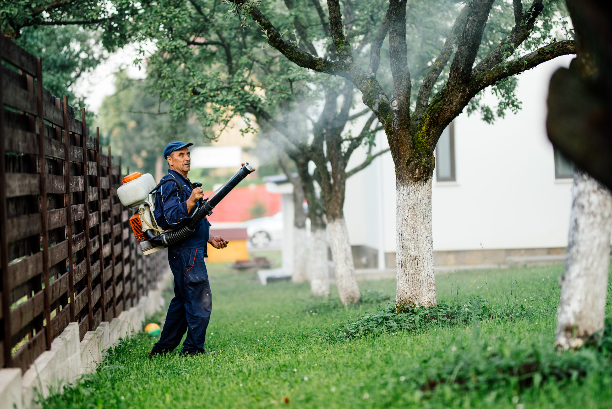 shutterstock 685237666 scaled Common Pest Control Vocabulary
