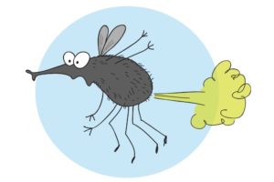 shutterstock 736049287 shutterstock_736049287