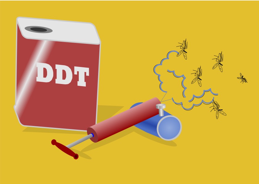 shutterstock 1182113068 Top 10 Bed Bug Myths