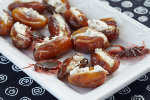 shutterstock 319792289 Stuffed,Roach.,Dates,With,Cheese,,Nuts,And,Herbs,For,Halloween