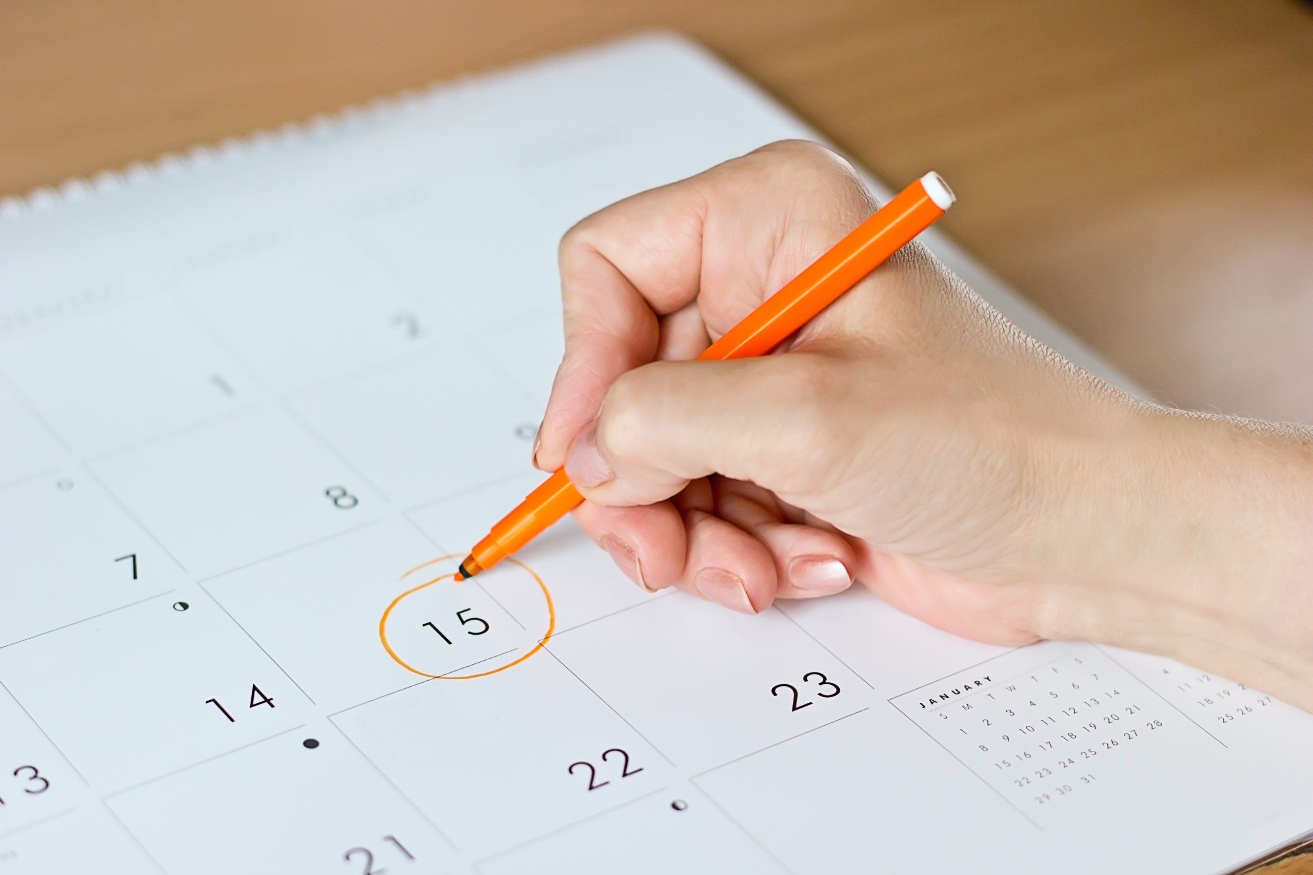 shutterstock 409991398 scaled 5 Questions to Ask Your Pest Control Company