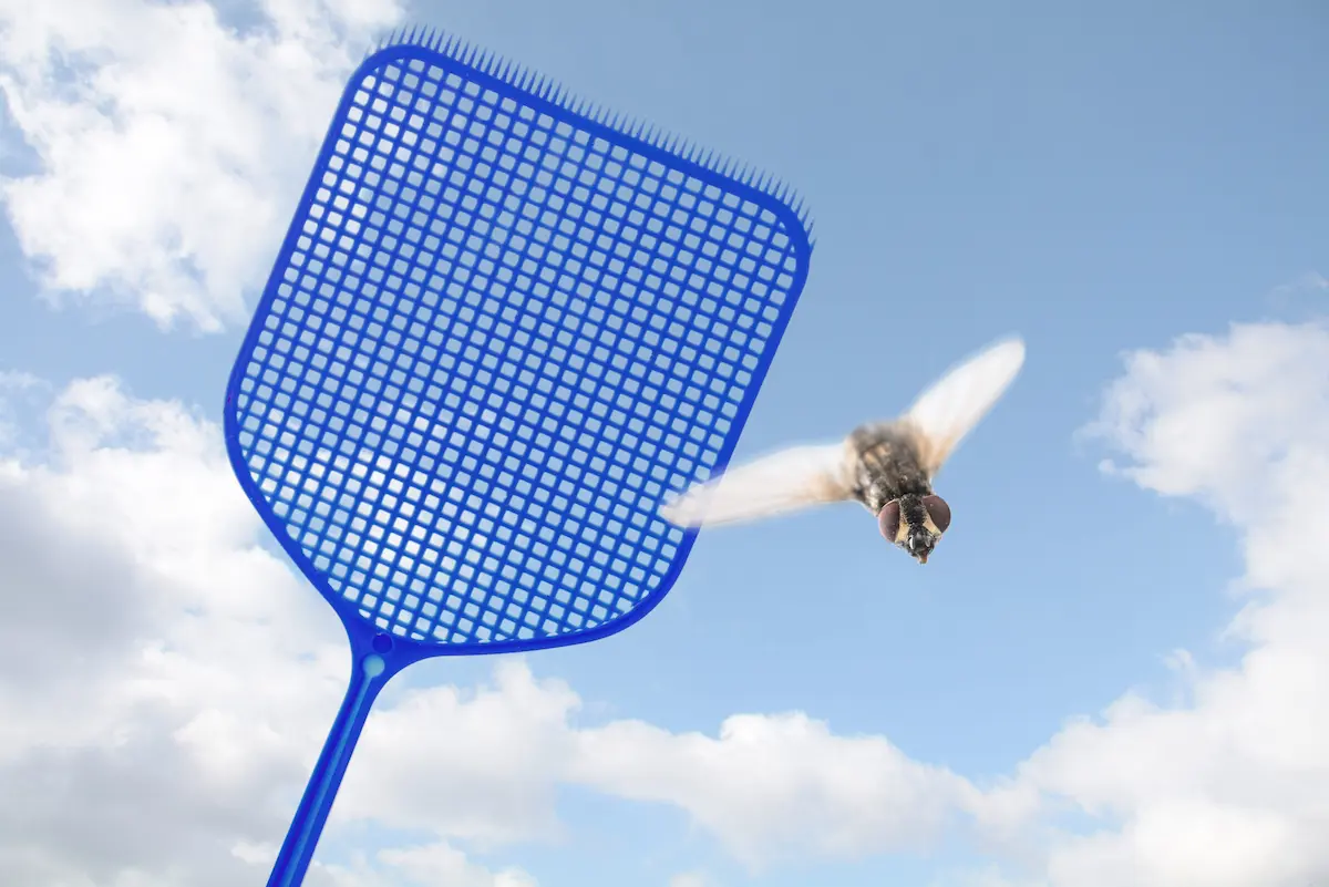 Blue fly swatter chasing a flying housefly in the sky