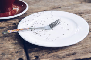 shutterstock 1131549047 Group,Of,Black,Ants,Crawling,On,The,Empty,Dish,In