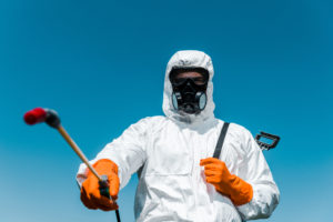 shutterstock 1507846643 Selective,Focus,Of,Exterminator,In,Uniform,And,Latex,Gloves,Holding