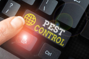shutterstock 2008825346 Handwriting,Text,Pest,Control.,Internet,Concept,Killing,Destructive,Insects,That