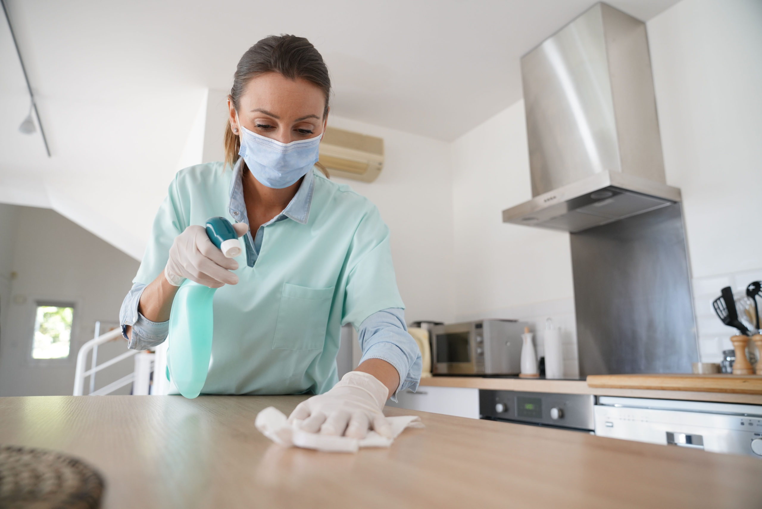 shutterstock 1810195780 scaled How to Clean Up After Rodent Infestations