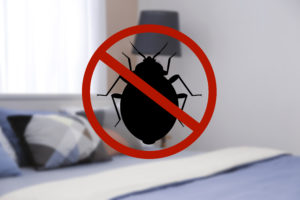 shutterstock 1031701807 Stop,Bug,Sign,And,Clean,Bed,In,Room