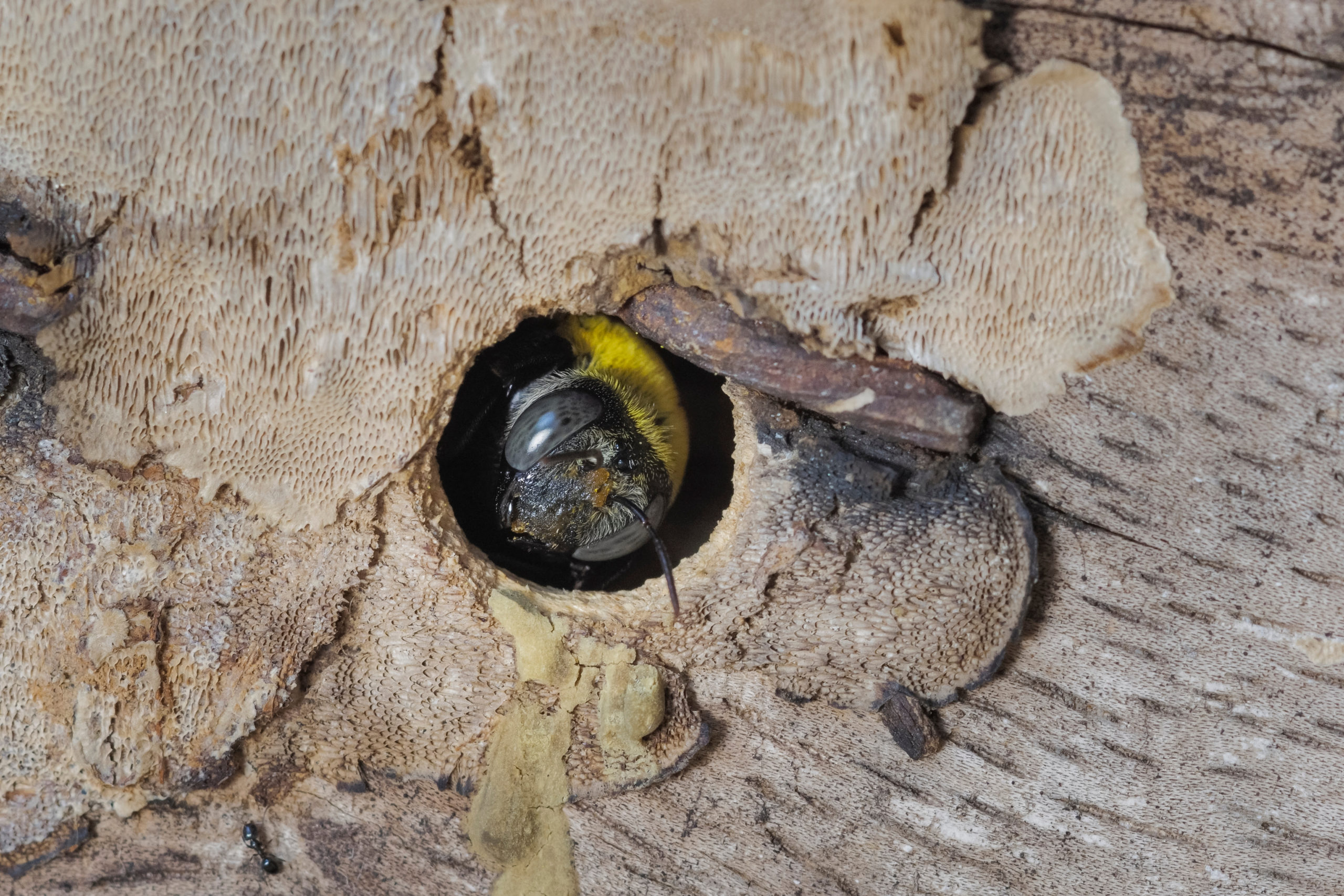 shutterstock 1655347069 scaled Most Common Pests and Where They Like to Infest