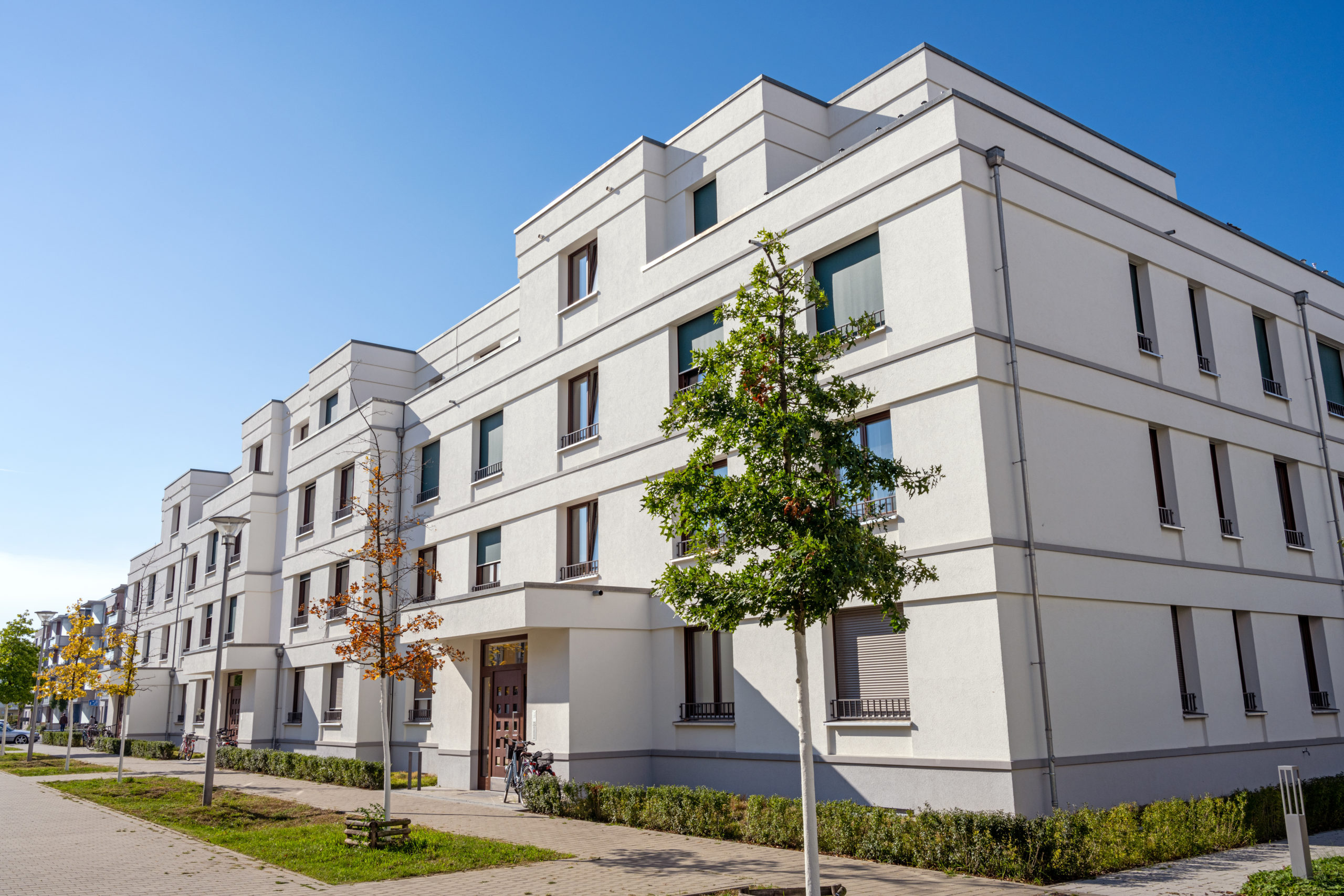 shutterstock 1898949190 scaled Who is Responsible for Pest Control at a Rental Property?