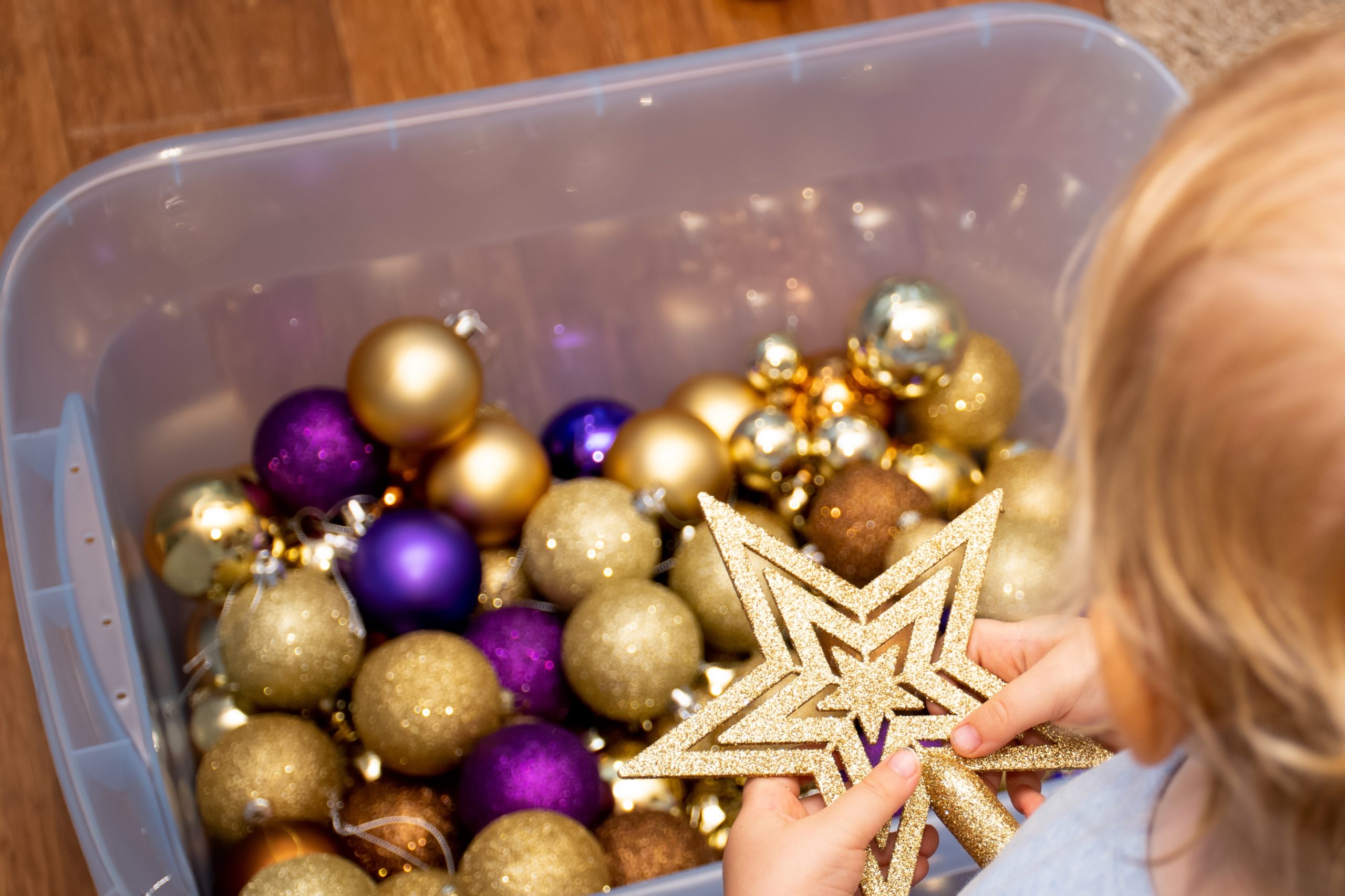 shutterstock 2087350393 scaled Holiday Decorating and Pests