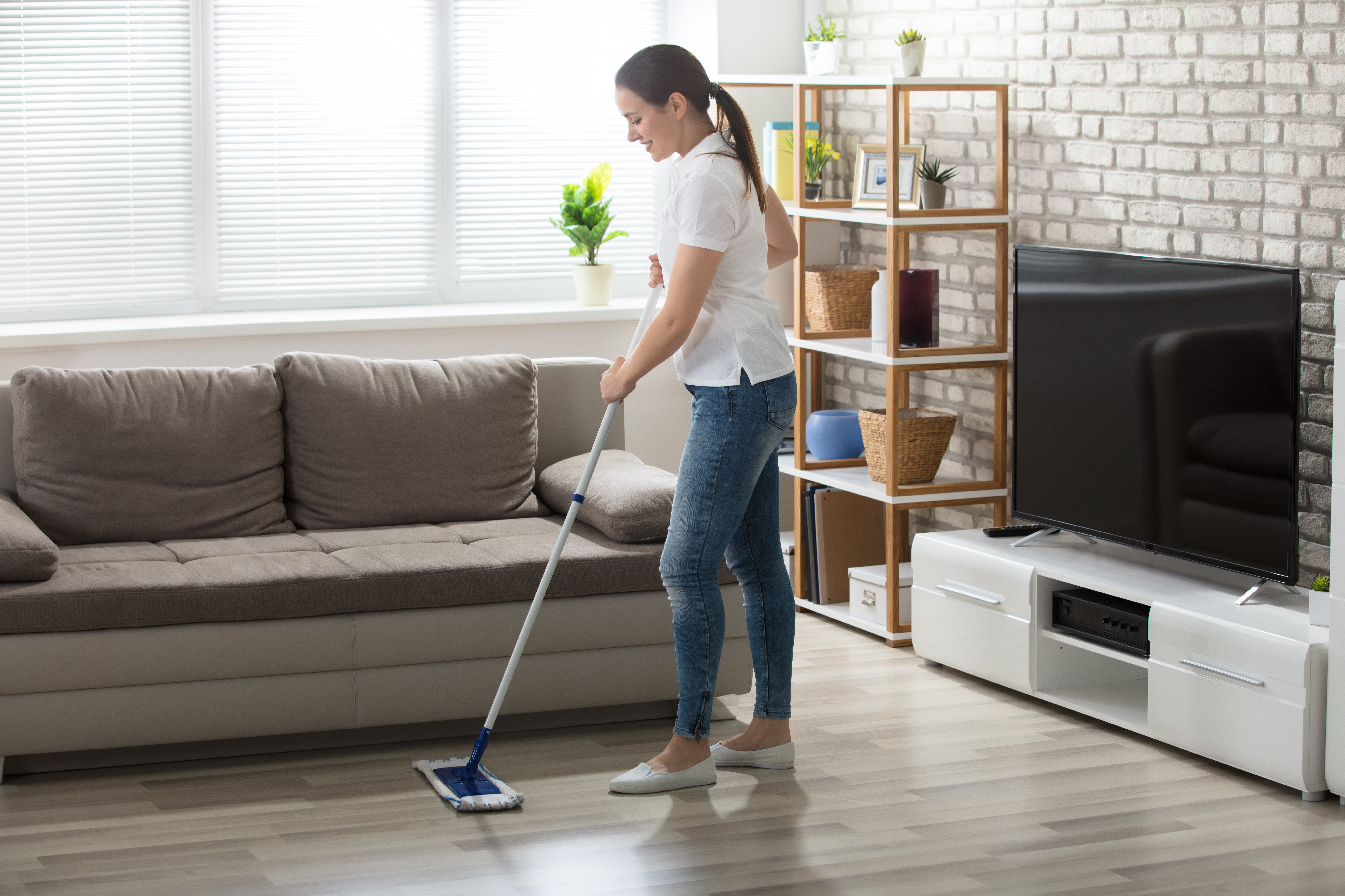 shutterstock 686338231 Who is Responsible for Pest Control at a Rental Property?
