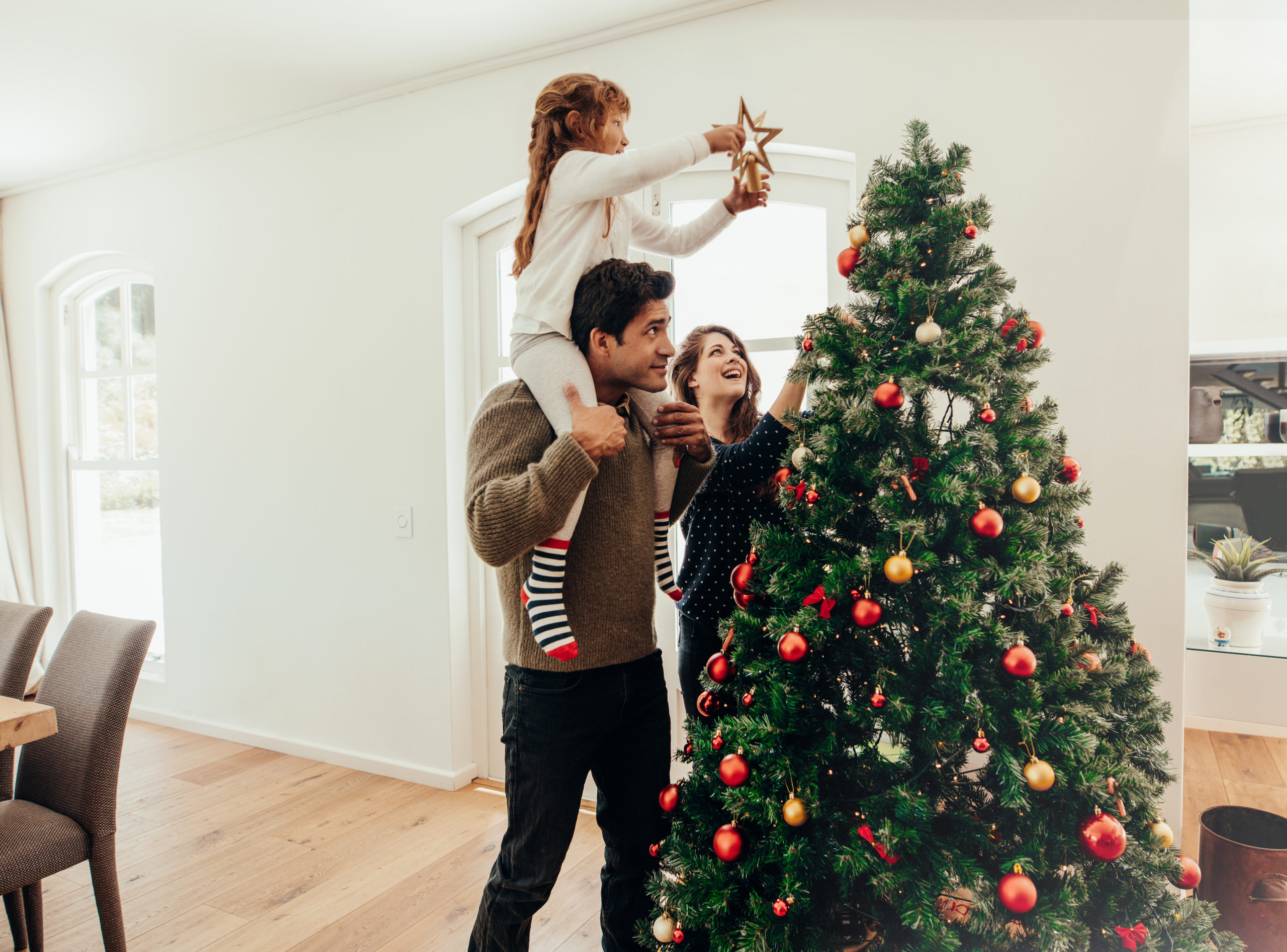 shutterstock 737844109 scaled Common Christmas Tree Pests
