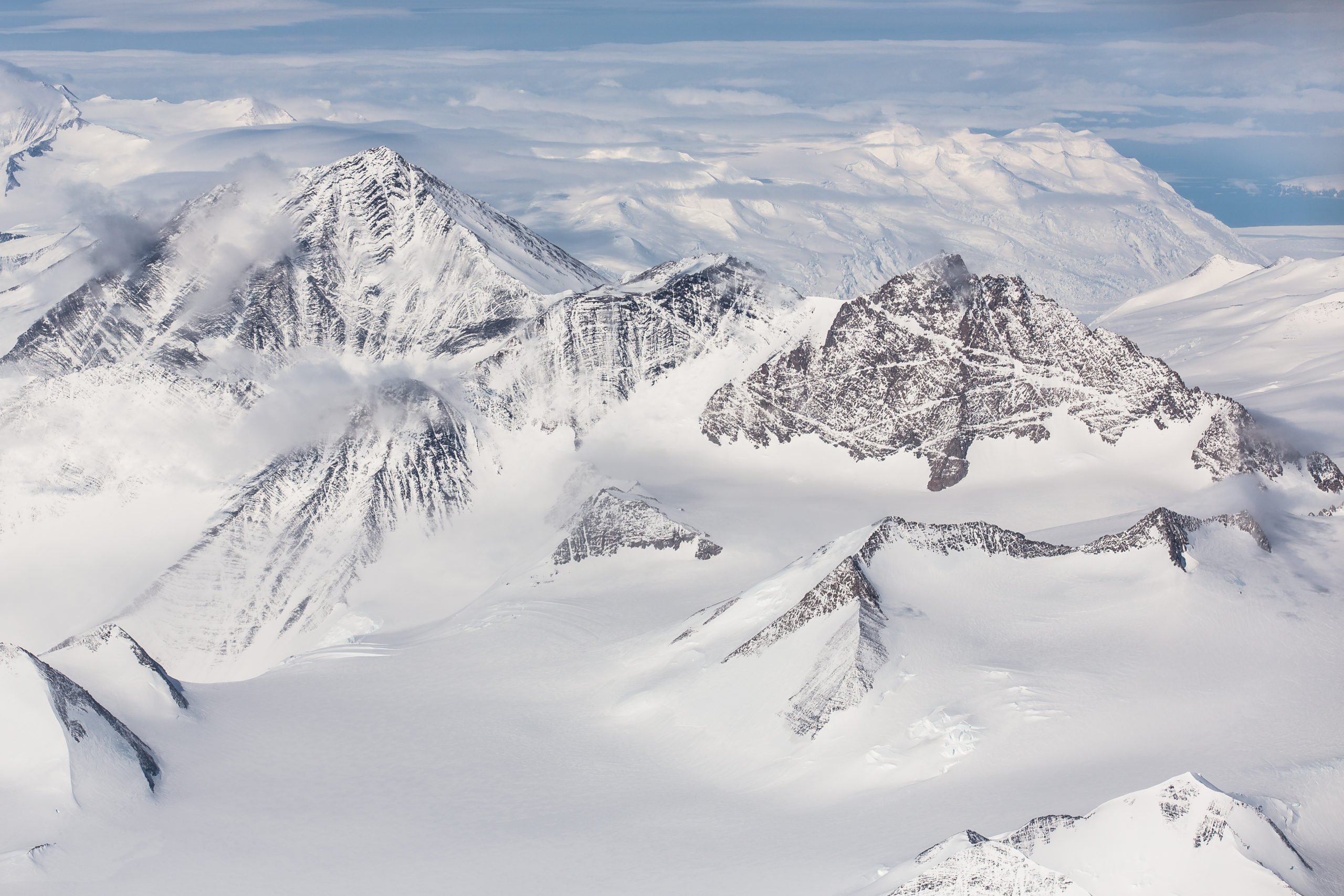 shutterstock 1027905097 scaled Antarctica's Amazing Insect