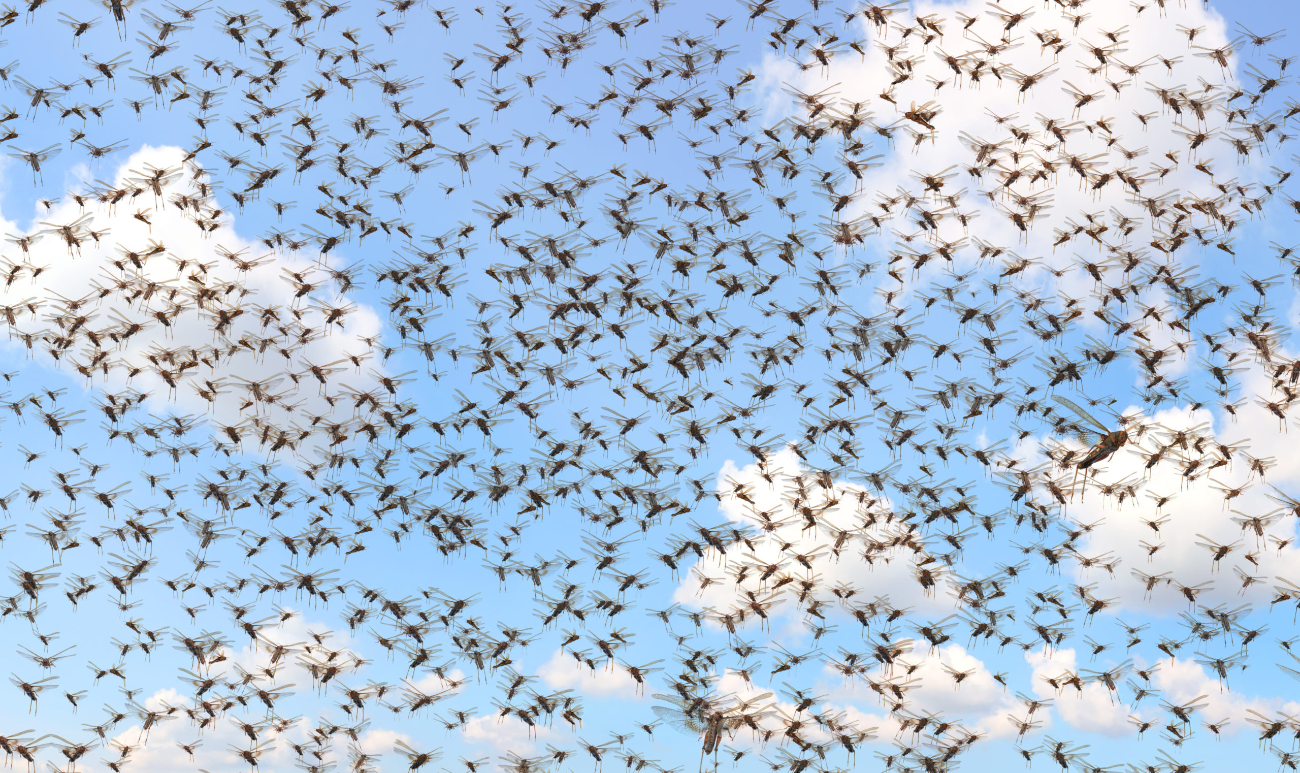 shutterstock 1749534224 scaled Significant Pests and Insects in History