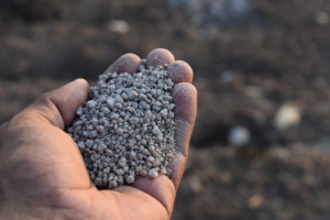 shutterstock 1918999340 Hand,Holding,Agriculture,Fertilizer,Granules.,Concept,Of,Role,And,Importance