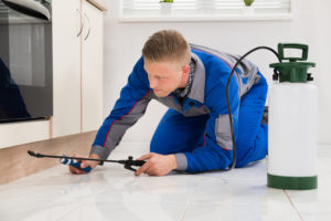 pest problem cover new Male,Worker,Kneeling,On,Floor,And,Spraying,Pesticide,On,Wooden