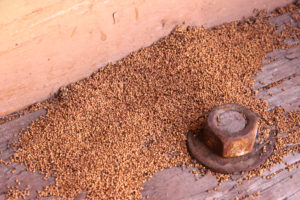 termite frass Signs,Of,Termite,Infestations,,An,Example,Of,Termite,Droppings,Outside