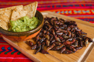 baseball chapulines Chapulines,,Grasshoppers,And,Guacamole,Snack,Traditional,Mexican,Cuisine,From,Oaxaca