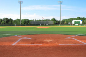 baseball pests cover Ballpark,And,Stadium,Imagery