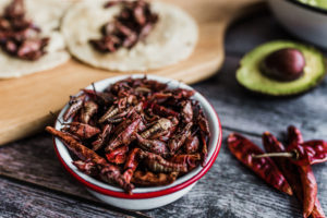 cooked crickets Grasshoppers,Or,Chapulines,Snack.,Traditional,Mexican,Food,From,Oaxaca,Mexico