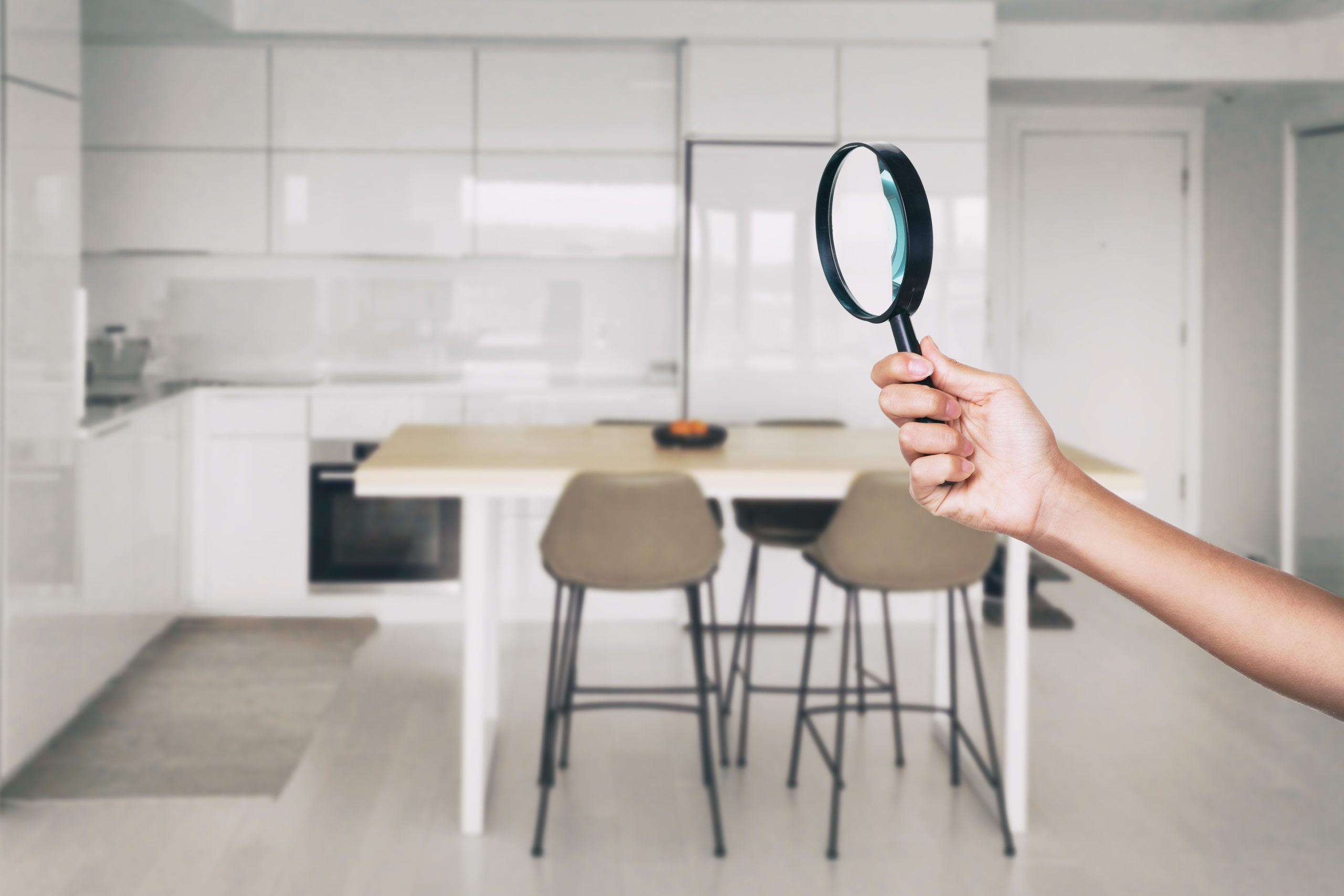 vacation inspection scaled Easy Ways to Prevent Pest Infestations Before Going on Vacation