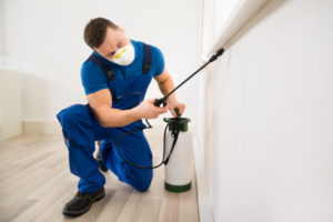 coffee pest control Male,Worker,Spraying,Pesticide,On,Window,Corner,At,Home