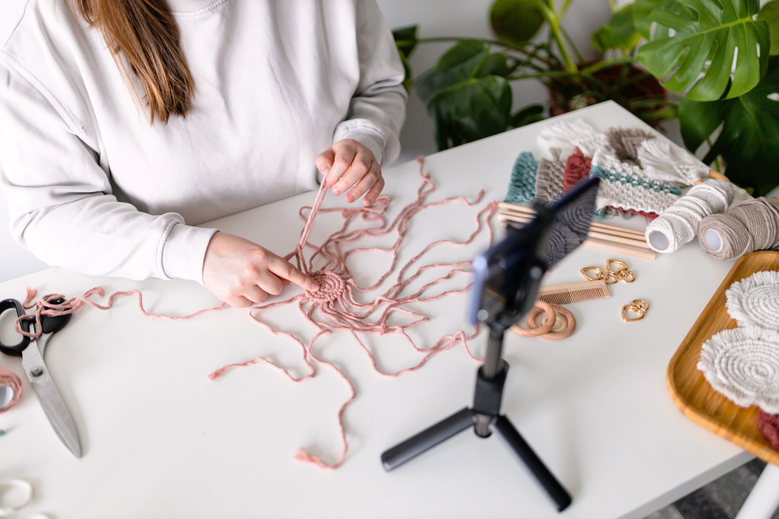 instagram spider scaled What If Pests Were Social Media Influencers?