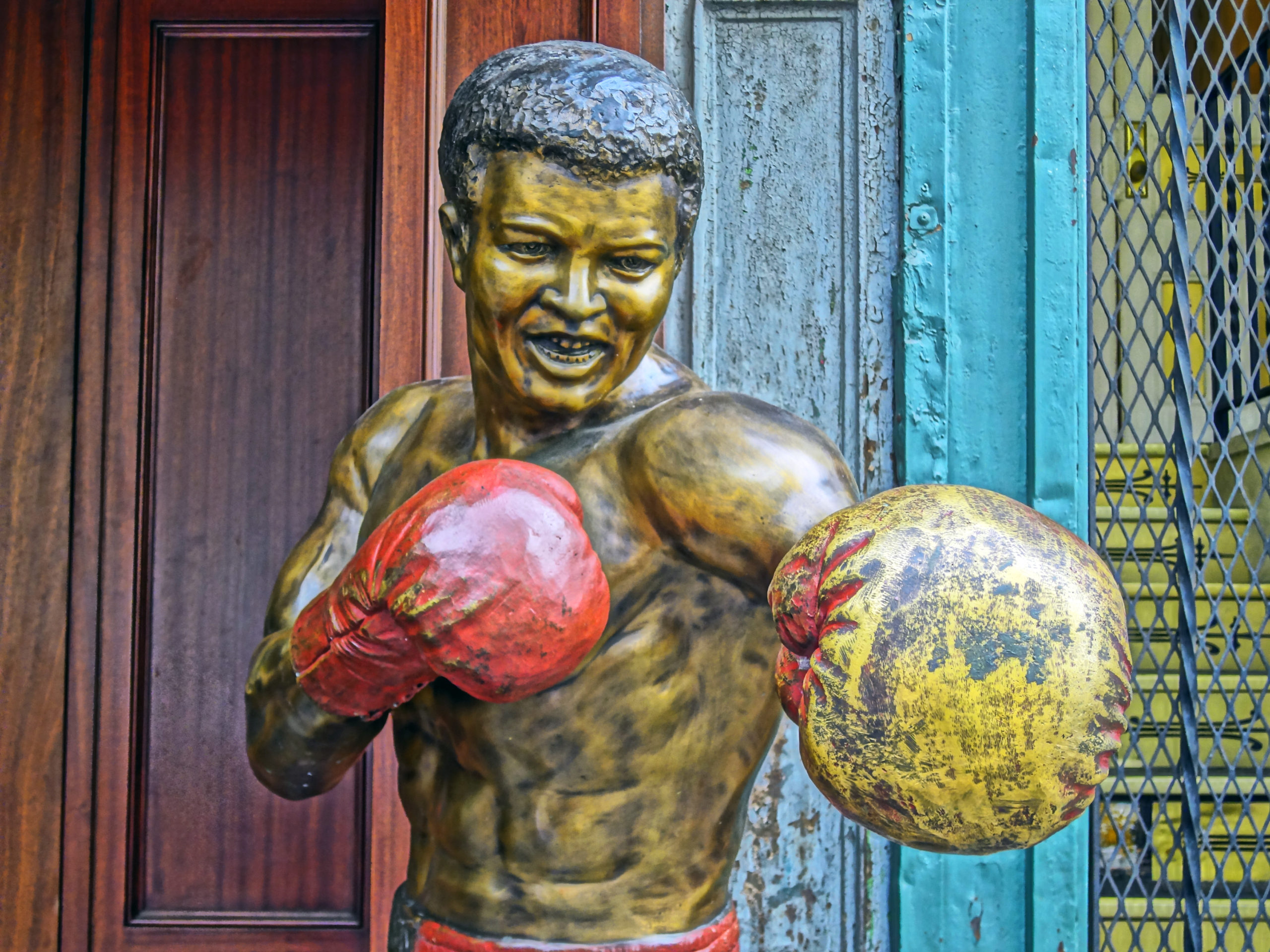 pest phrase muhammed ali scaled What Do These Animal and Pest-Related Phrases Mean?