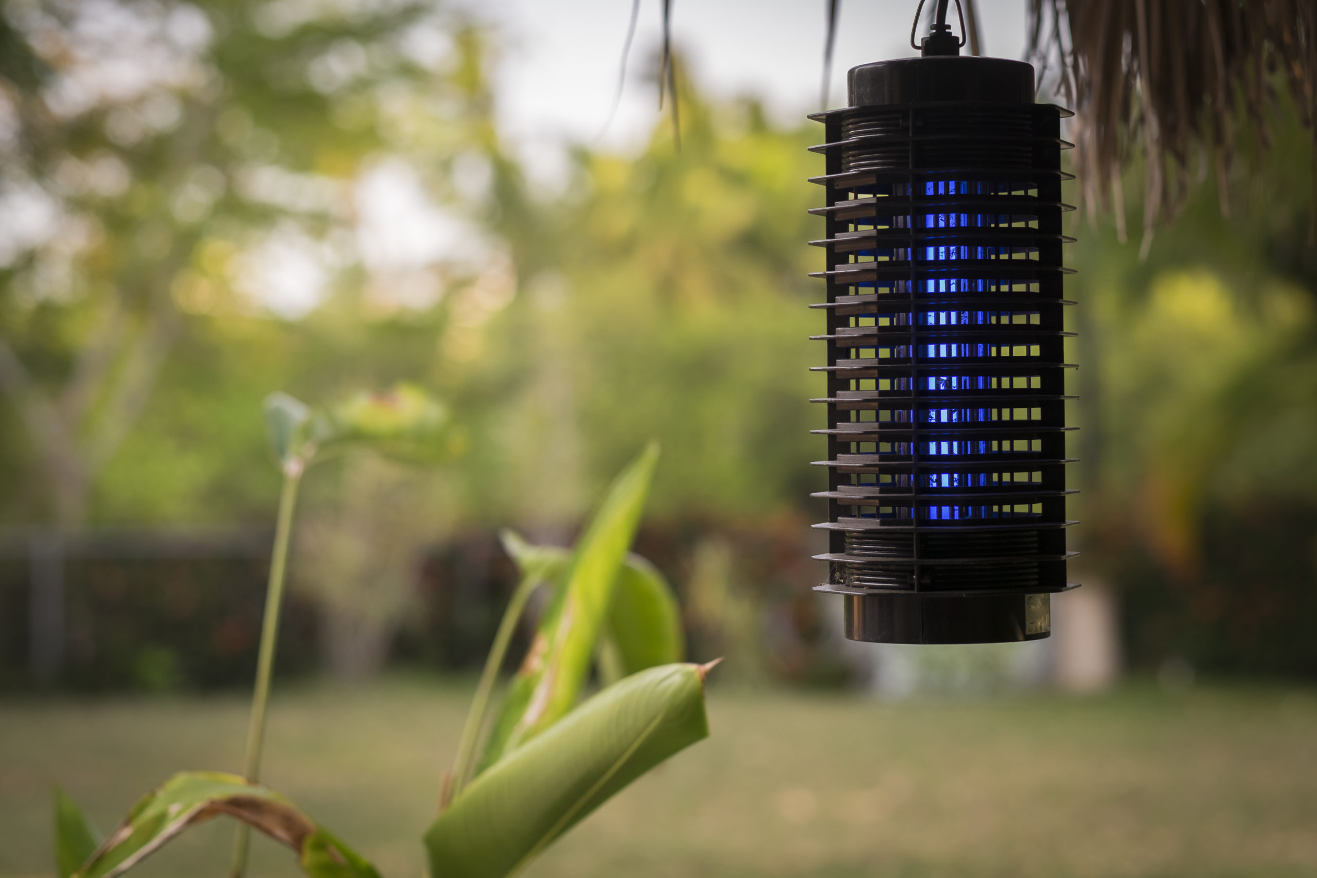 products bug zapper scaled Do These DIY Pest Control Products Actually Work?