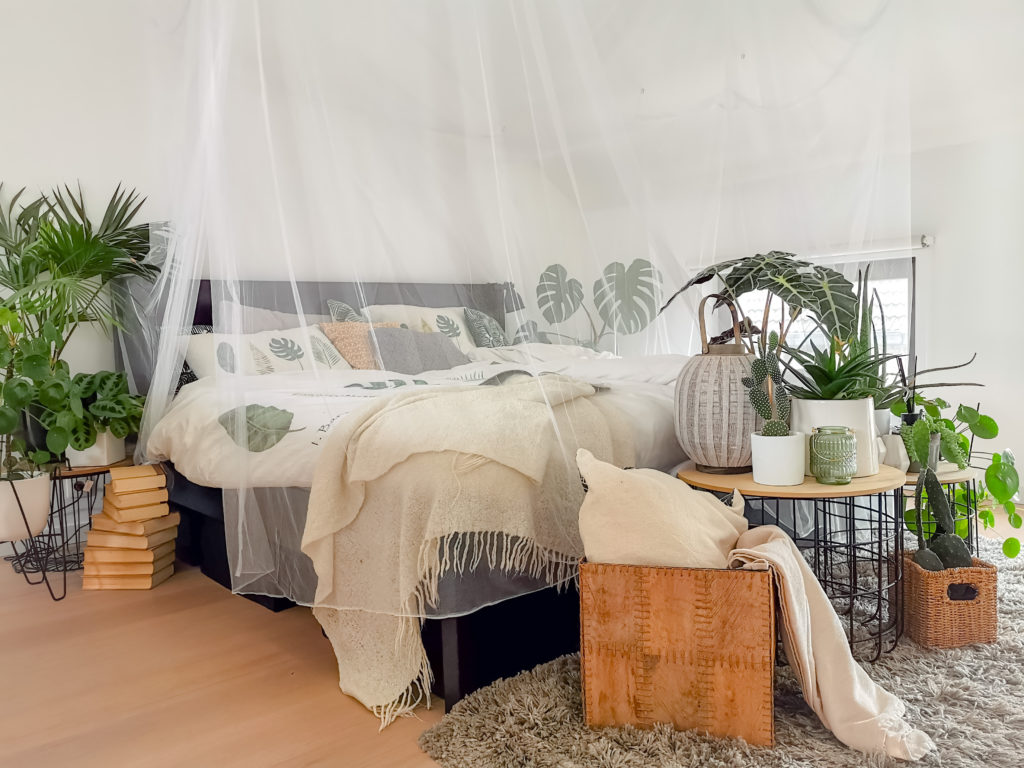Do These DIY Pest Control Products Actually Work? - Pointe Pest Control ...