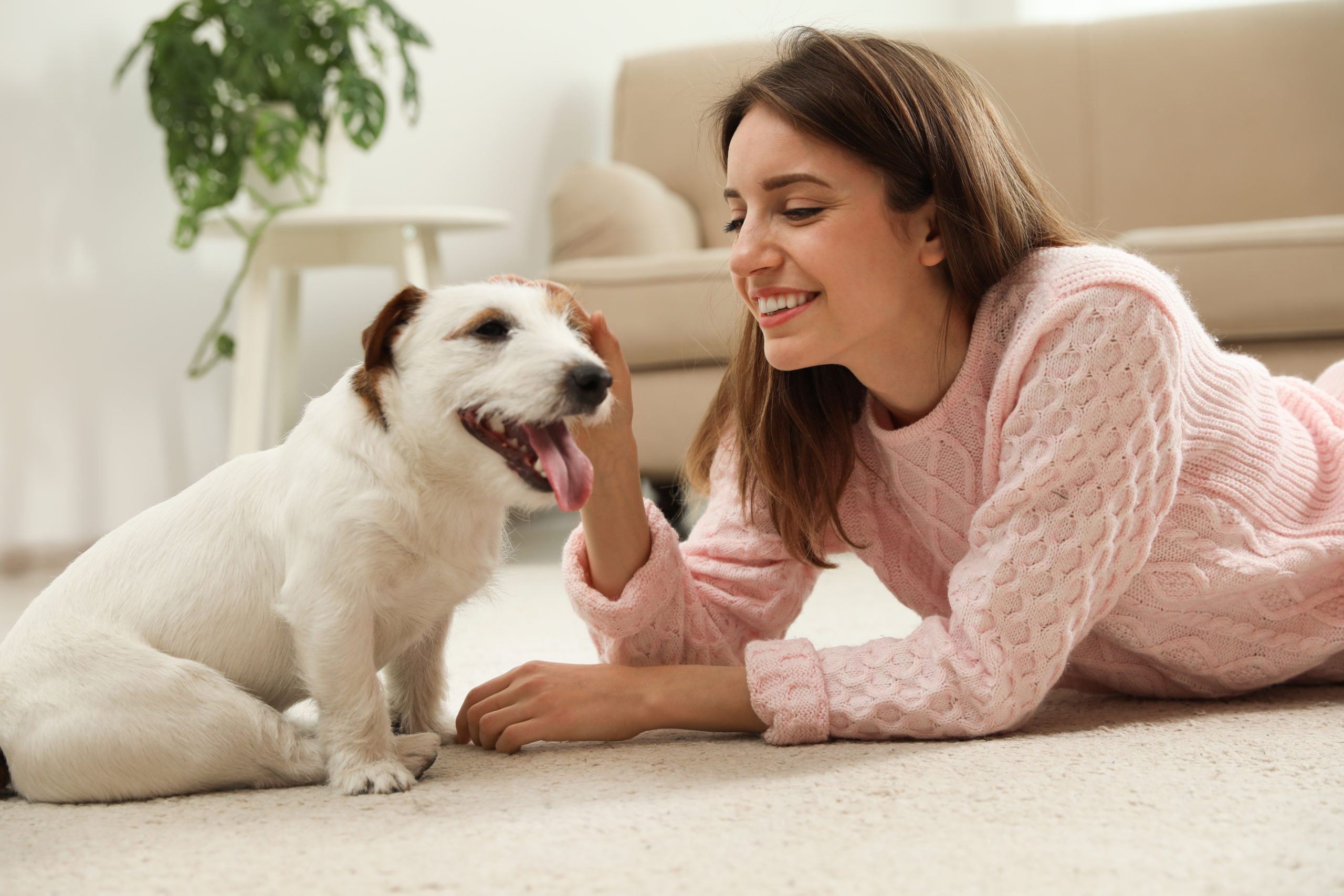 pests and pets cover scaled How to Have a Pest-Free Home as a Pet Owner