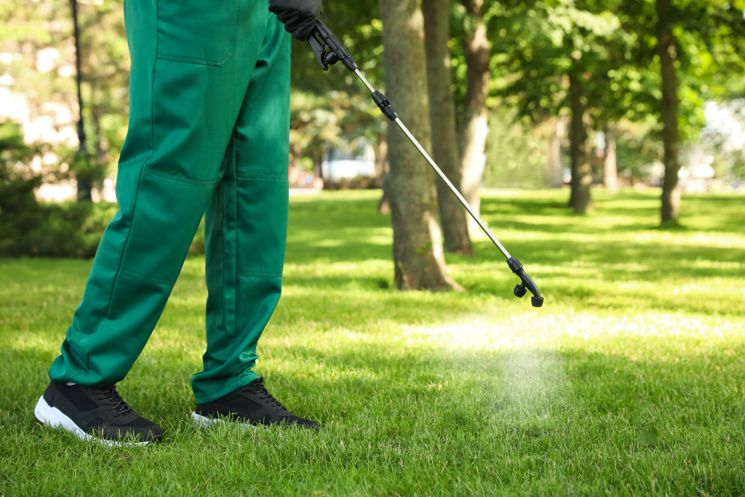 preventative cover scaled Is Preventative Pest Control Worth It?