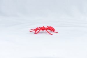 bug games ants in the pants Children's,Plastic,Toy,Insects,And,Amphibians,On,White,Background
