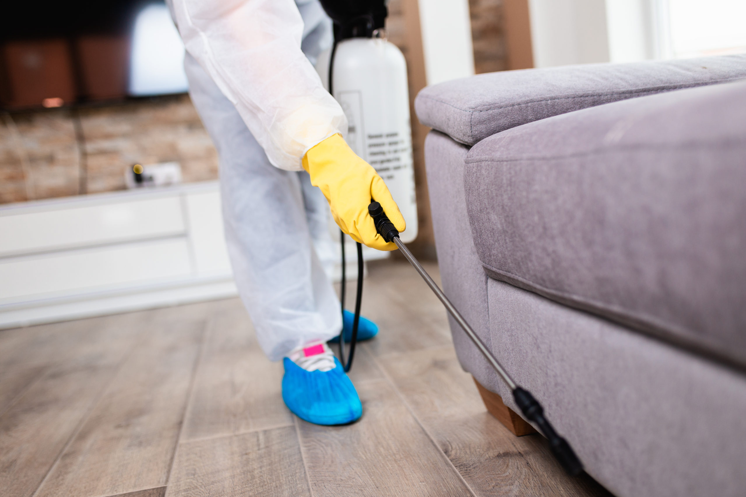 r vs c r preventative scaled Residential vs. Commercial Pest Control: What’s the Difference?