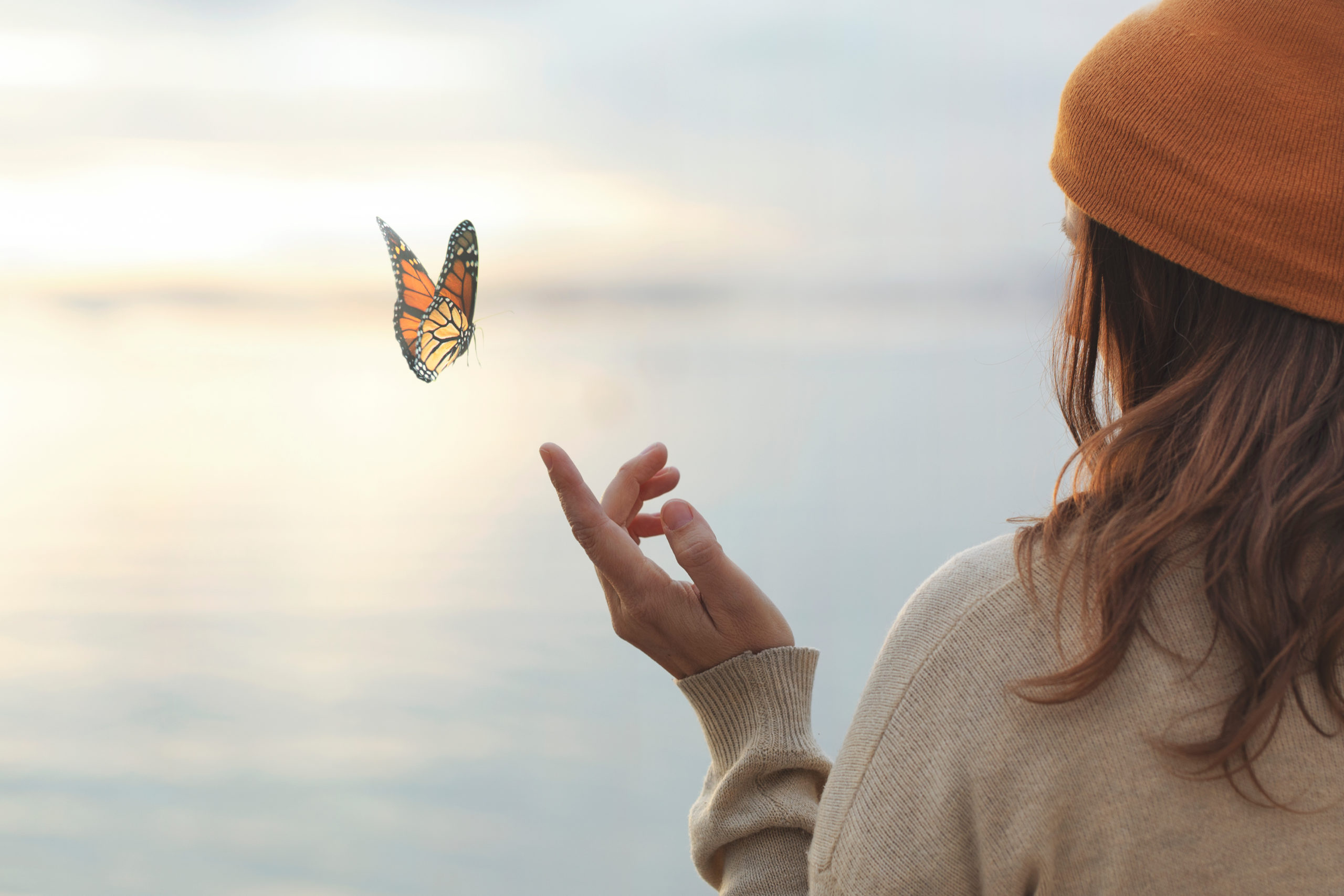 superstition cover scaled The Luck of the Pest: Common Superstitions About 5 Backyard Creatures