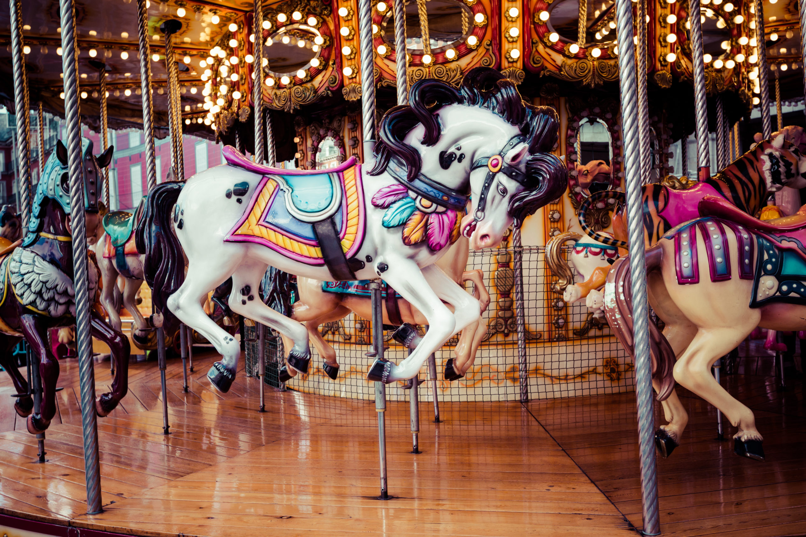 theme earwig scaled What If Pests Visited a Theme Park?