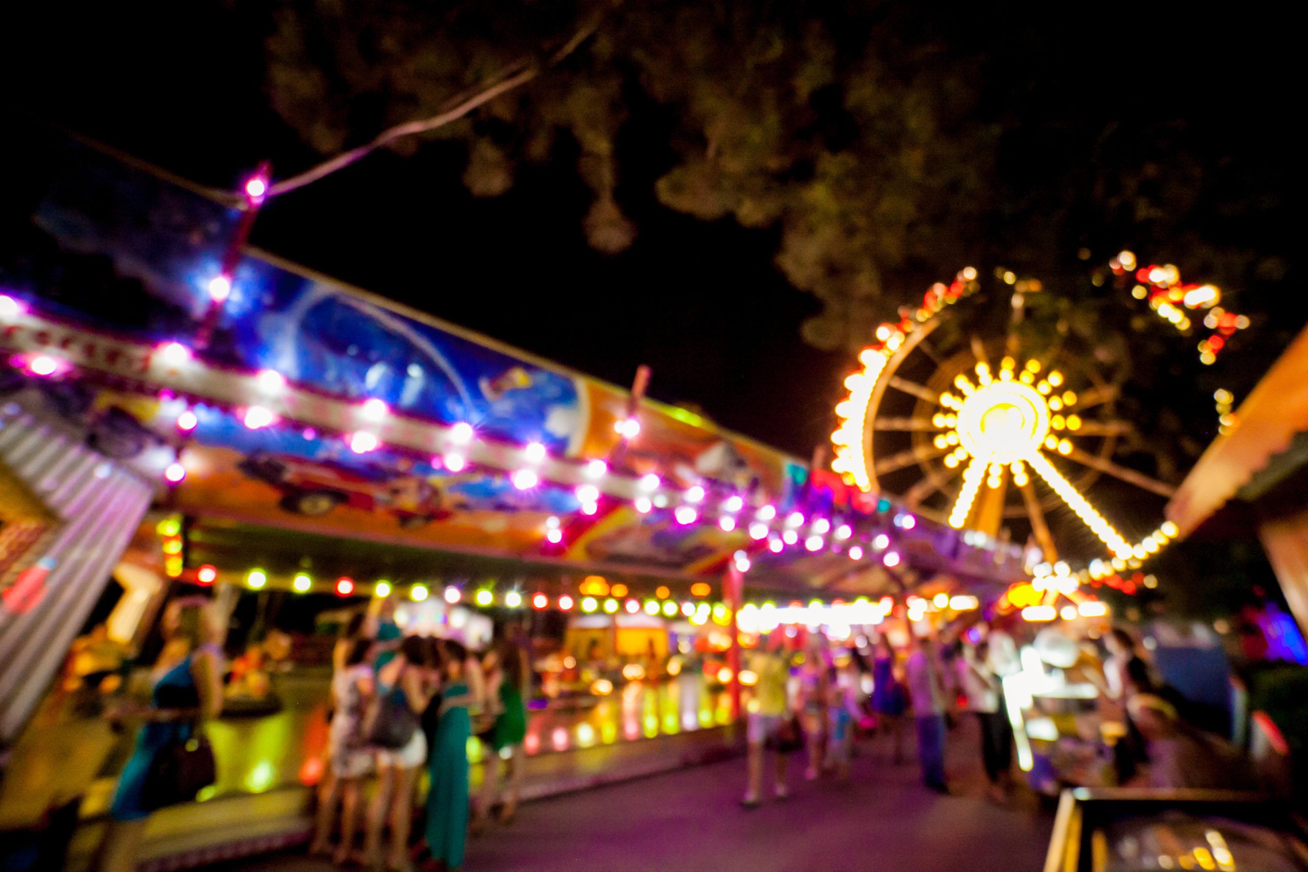 theme firefly scaled What If Pests Visited a Theme Park?