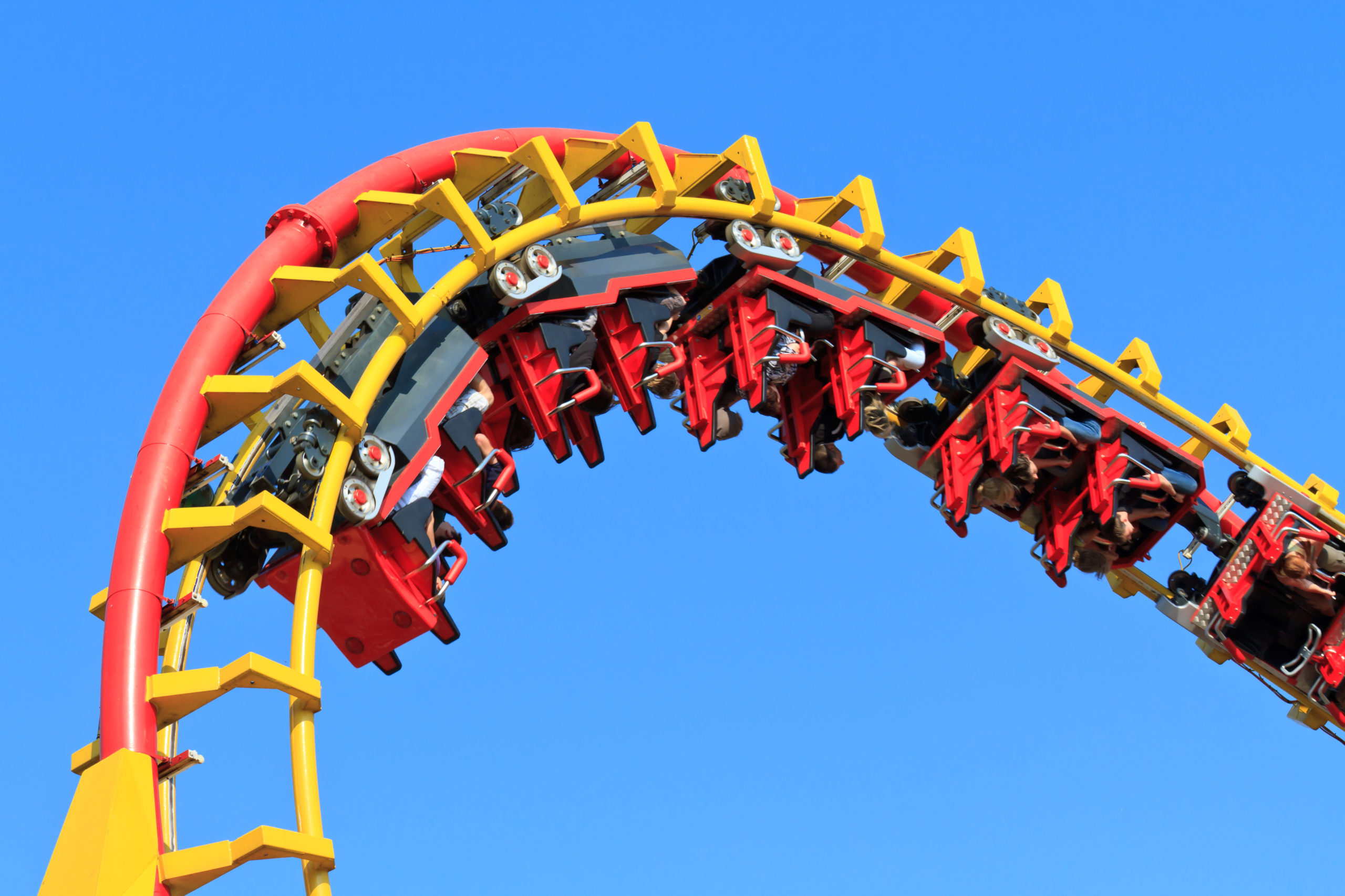 theme tick scaled What If Pests Visited a Theme Park?