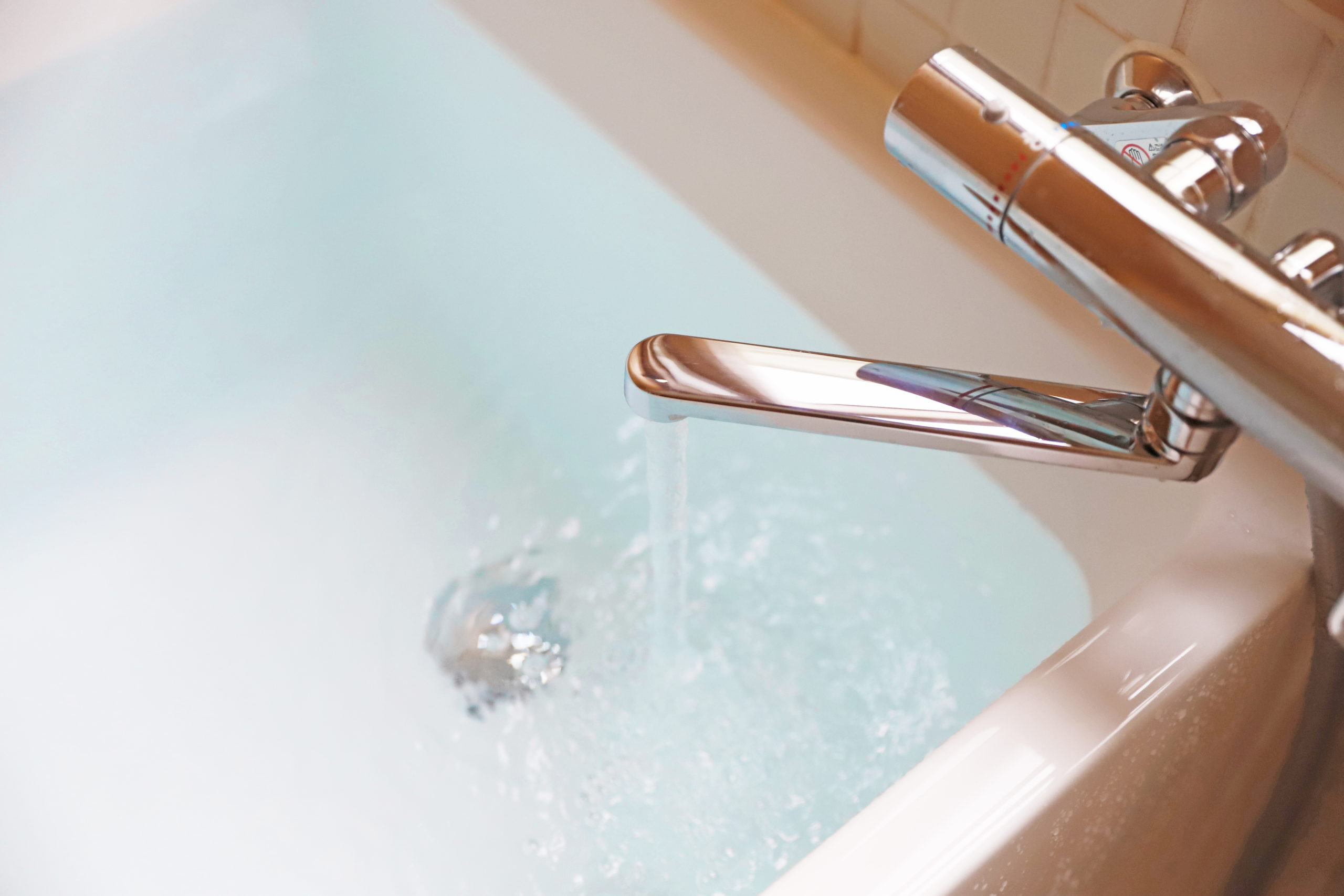 attraction bathtub scaled Main Attraction: 10 Random Home Fixtures that Attract Pests