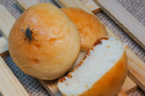picnic flies Fly,Flies,Closeup,Food,Dirty