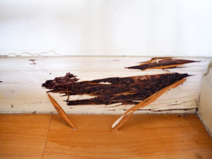 consequences house damage Wooden,Wall,Was,Damaged,From,Termite,Infested,Inside,House.